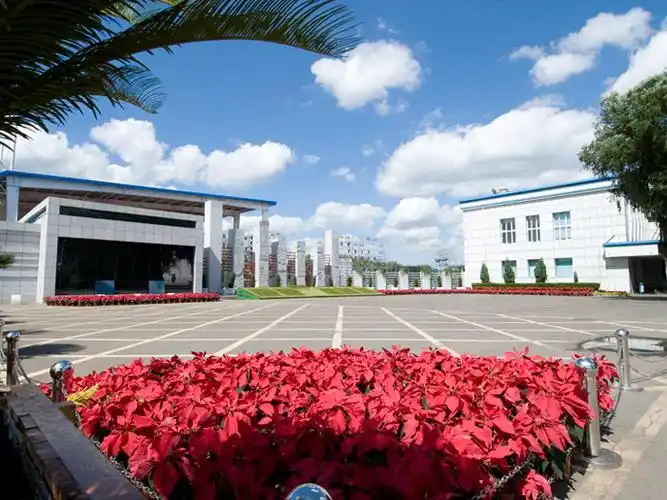 公司风景
